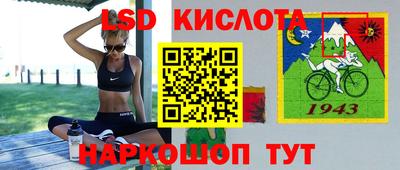шишки Ирбит