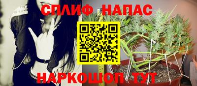 шишки Ирбит