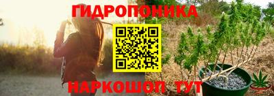 шишки Ирбит